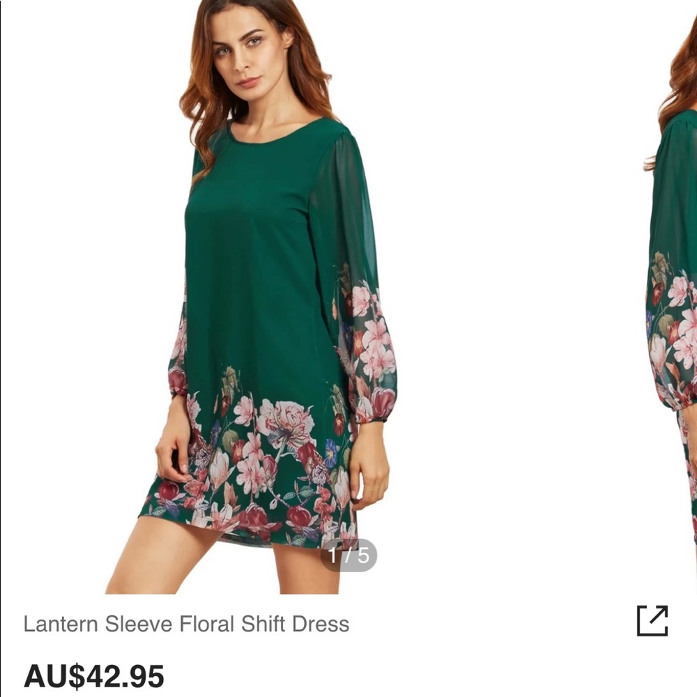 LOOKING FOR: Shein Lantern Sleeve Floral Shift Dress in Green/Pink Size Small